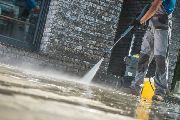 Best Graffiti Removal Services in Cleveland, MS